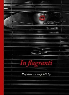 Zdjęcie produktu dla In flagranti - Requiem za moje hříchy (Santipo)