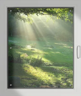 Produktbild von Wallario Lichtschutzbild, Dekorativer Sichtschutz Sonnenschutz 76 x 93 cm mit Motiv: Sonnenstrahlen im Wald - Verdunklung ohne Bohren