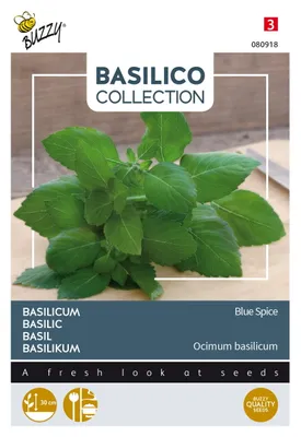 Produktbild von Buzzy Basilikum Blue Spice Samen - Ca. 0,5 gr