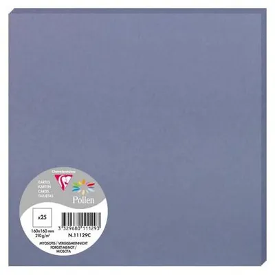 Image de Clairefontaine carte pollen 160x160 210g vmnon