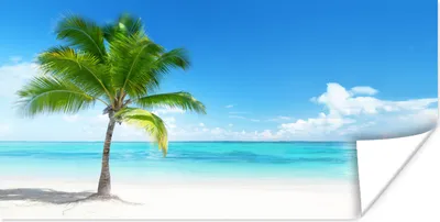 Produktbild von MuchoWow® Poster Palme - Strand - Meer - Sommer 40x20 cm - Poster für die Wand - Poster Schlafzimmer