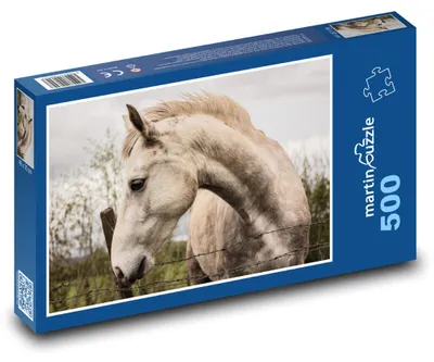 Produktbild von martinpuzzle - Puzzle 500 Teile - Wildpferd