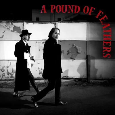 Produktbild von The Black Crowes - A Pound of Feathers (CD)