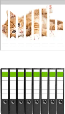 Produktbild von Wallario 8 Stück schmale Ordner inkl. Klebeetiketten mit Motive Süße Katze mit großen Augen - rot weiß getigert -  Set mit Rückenschildern / Ordnerrücken Stickern
