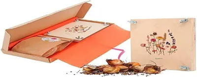 Blumengeschenkset für den Briefkasten, Samen & Zwiebeln