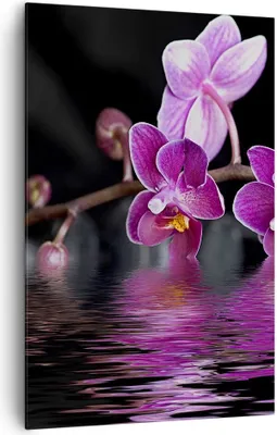 Produktbild von Bild auf Leinwand - Leinwandbild - Einteilig - Asien exotisch orchidee blume - 80x120cm - Wand Bild - Wandbilder - Leinwanddruck - Wanddekoration - Leinwand bilder - Wandbild - PA80x120-2312
