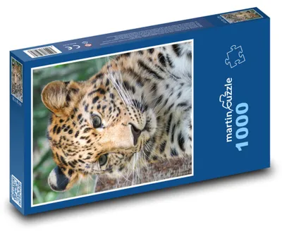 Zdjęcie produktu dla Puzzle 1000 Młody lampart na wolności - martinpuzzle