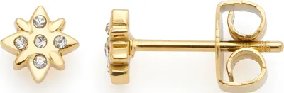 Produktbild von Leonardo Ohrstecker gold Campagnola CIA