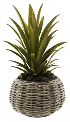 Produktbild von VAN DER LEEDEN DRYPOT® Rattan Tina Pflanzkübel Grau Ø 29 cm - Sylter Körbe