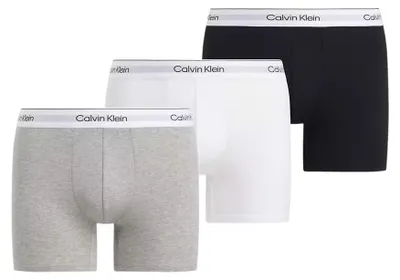 Obrázok produktu pre Pánske boxerky ICON Brief Set 3 ks – sivá, biela, čierna – S