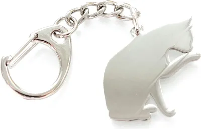 Produktbild von Katze Schlüsselanhänger Miniblings Anhänger Schlüsselring Kater Pfote Edelstahl