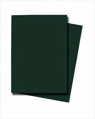 Image de Protecteurs Alpha vert émeraude (50 pièces)
