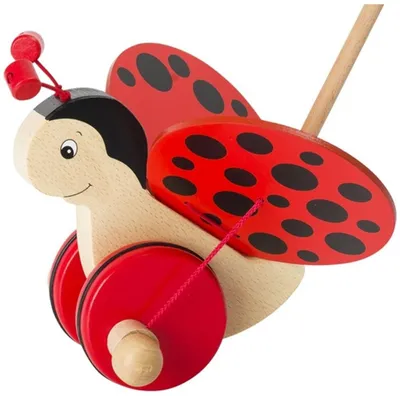 Immagine prodotto di Coccinella scorrevole Florah