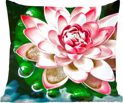 Produktbild von MuchoWow® Zierkissen Sofakissen Wohnzimmer Dekokissen 45x45 cm Ein Koi-Karpfen mit einer rosa Blume - Schlafpolster - Polster für das Sofa