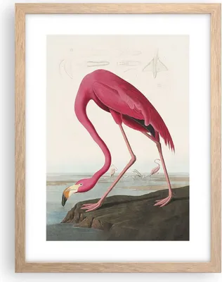 Produktbild von Gerahmtes Poster - Rahmen in heller Eiche - Flamingo Vogel Exotik - 30x40 cm - Wand Bild - Wanddeko - Wandbilder - Kunstposter - Wandposter - Bilderrahmen - Bilder - Kunstdruck - P2NPA30x40-5137