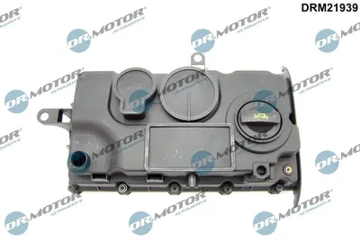 Produktbild von Zylinderkopfhaube DRM21939 für VW Golf V Schrägheck (1K1)