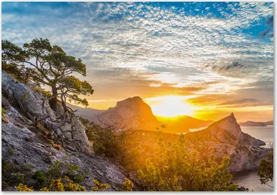 Produktbild von Tulup® Glas-Bild - 100 x 70 - Wandbild aus Glas - Wandkunst - Wandbild hinter gehärtetem Sicherheitsglas - Landschaften - Sonnenuntergang - Gelb