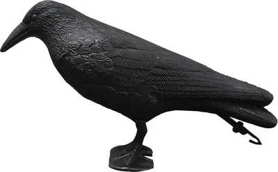 Produktbild von Taubenschreck Krähe sitzend, Sitzende Krähe schwarz, Rabe Dekofiguren