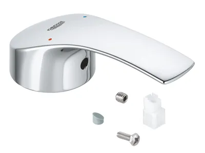 A chrome faucet handle and its associated parts are displayed on a white background.