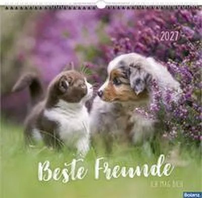 Image de Meilleurs amis - Je t'aime en 2027