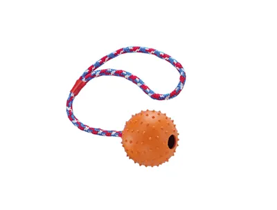 Produktbild von Vollgummi Ball mit Glocke und Seil, M, Ø7cm