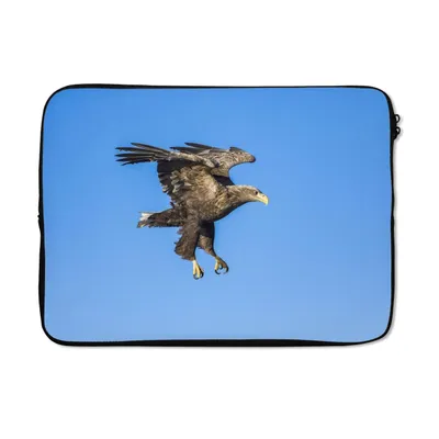 Produktbild von MuchoWow® Laptop Hülle 14 ZollEuropäischer Seeadler am blauen Himmel Laptoptasche - Laptoptasche - Stoßsicher - Schutzhaube