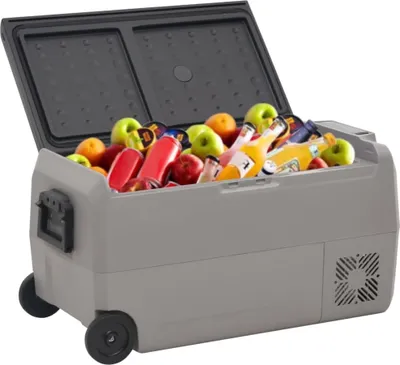 Produktbild von vidaXL Kühlbox mit Rollen und Griff Schwarz & Grau 50 L PP & PE