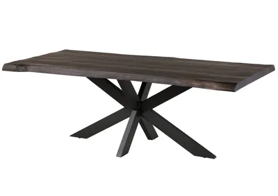 Image de MASSIVMOEBEL24 | Table à manger 200x100 Manguier laqué Gris taupe / Anthracite mat FREEFORM 5