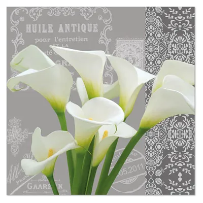 Produktbild von RP 20 Servietten Calla - Vintage Calla 33x33cm