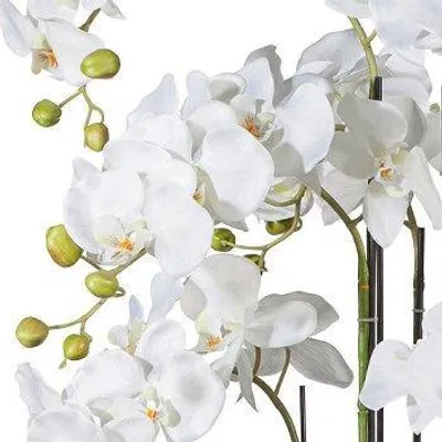 Produktbild von artplants.de Künstliche Phalaenopsis Orchidee LOPASY, Wurzeln, weiß, 110cm - Kunst Orchidee