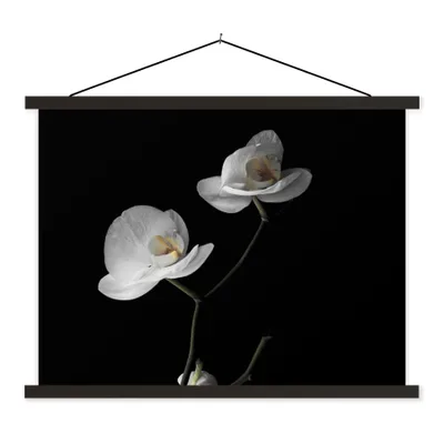 Produktbild von MuchoWow® Textilposter Orchidee - Blumen - Schwarz - Weiß - Stilleben 40x30 cm mit schwarzem Rahmen - Dekorationen