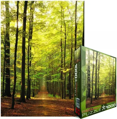 Image de Chemin forestier