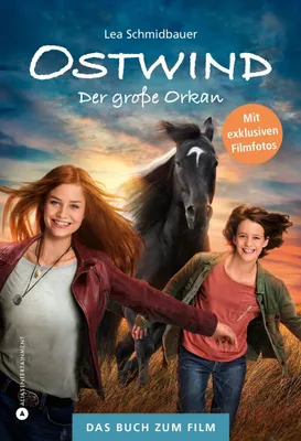 Produktbild von Ostwind - Der große Orkan