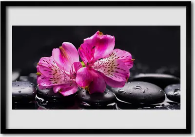Produktbild von Bild 100x70 MDF-Rahmen Wandkunst Blumen Steine ​​Zen Spa