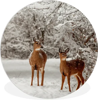 Produktbild von MuchoWow® Rundes Wandbild - Runde Bilder Hirsche - Schnee - Bäume Ø 30 cm Kreis Wanddekoration Kunststoff - Wandkreis - Wandschmuck - Schlafzimmer - Bilder - Der Kreis - Kunst für die Wohnung - Plastik - Kunstdruck - Wandbild