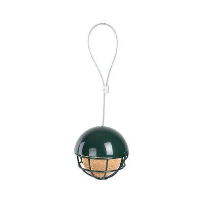 A bird feeder hanging against a white background.