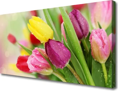 Produktbild von Tulup Leinwand-Bilder 100x50 Wandbild Canvas Kunstdruck Tulpen Pflanzen
