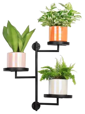 Image de Support à plantes rotatif à 3 niveaux pour intérieur