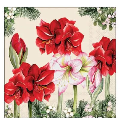 Imagen del producto de Servilletas de cóctel Ambiente, 25 x 25 cm – Diseño: amaryllis en flor
