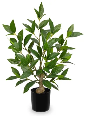 Image de Arbre de laurier artificiel, 49,8 cm - Plante décorative en pot noir