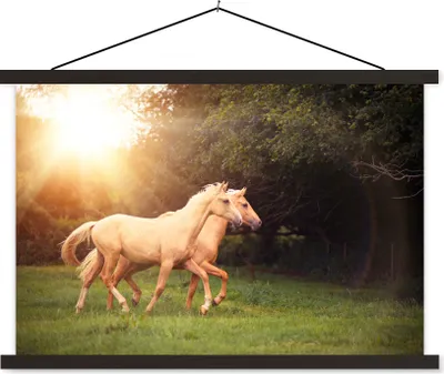 Produktbild von MuchoWow® Textilposter Pferde - Wald - Sonne 150x100 cm mit schwarzem Rahmen - Schlafzimmer