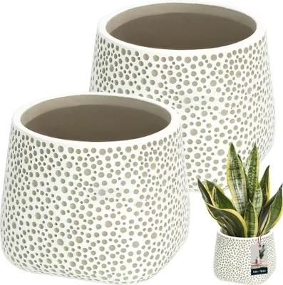 Immagine prodotto di KOTARBAU® Fioriera in Vetroceramica non smaltata finitura opaca grigio bulboso ⌀ 11 cm | H 11 cm 2 pz. fioriere fioriere per piante da interno vaso da fiori in Vetroceramica grande vaso da fiori in Vetroceramica moderno