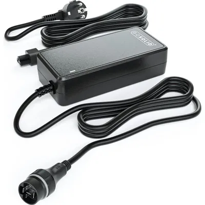 Produktbild von GO SOLID! Ladegerät PASC9 kompatibel mit Yamaha In-Tube 36V X1R-10 Akku