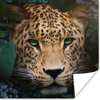 Produktbild von MuchoWow® Poster Dschungel - Panther - Wilde Tiere 75x75 cm - Wand Dekoration