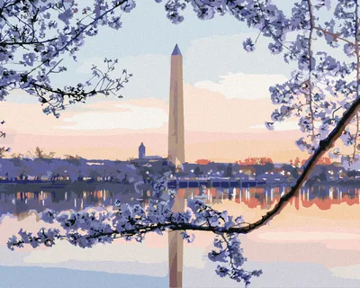 Produktbild von Zuty - Malen nach Zahlen - BLÜHENDER BAUM WASHINGTON MONUMENT (TED DAVIS), 40x50 cm, mit Keilrahmen (bereits gespannt)