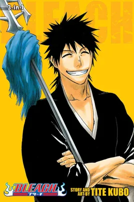 Produktbild von Bleach (3-in-1 Edition), Vol. 10