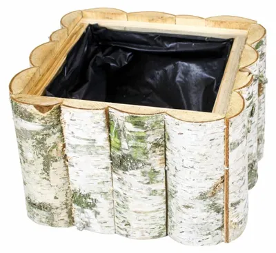 Image de Birkenblumentopf, pot à fleurs en bois naturel