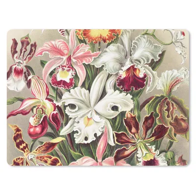 Produktbild von MuchoWow® Mauspad Mousepad Blumen - Ernst Haeckel - Jahrgang - Orchidee 23x19 cm - Mousepads - Maus Mat - Pad - Mausunterlage - Schreibtischunterlage - Mauspad
