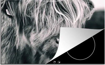 Obrázek produktu pro KitchenYeah® Krycí deska na sporák Scottish Highlander - Cow - Black - White , 81x52cm, dekorace do kuchyně, kryt na sklokeramickou varnou desku, krycí deska na varnou desku