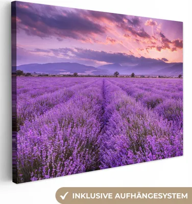 Obrázok produktu pre MuchoWow® - Plátno - Levanduľa - Fialová - Kvety - Pole, nástenná maľba, nástenné dekorácie obrazy obývacia izba, 80x60cm